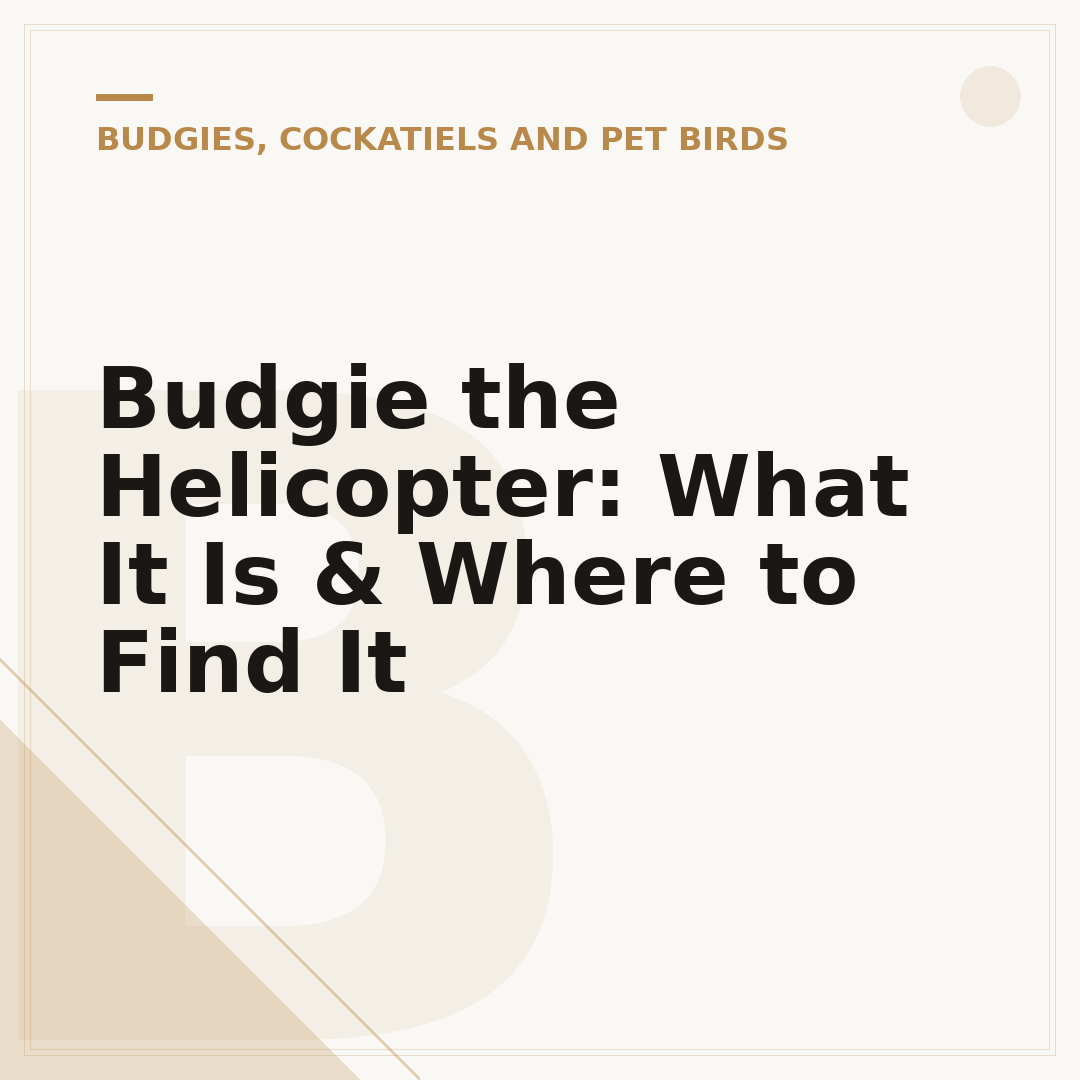 Budgie the Helicopter: What It Is & Where to Find It