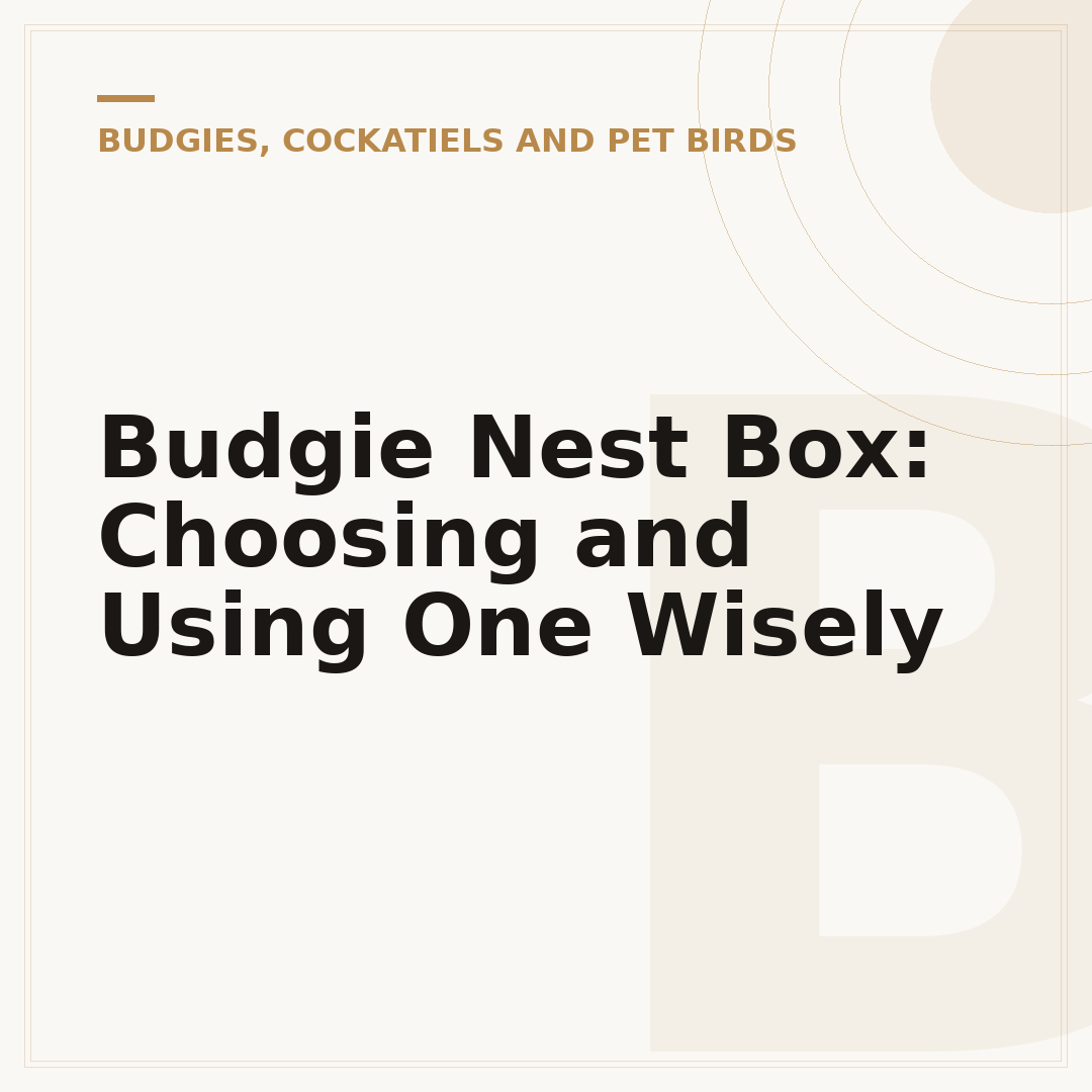 Budgie Nest Box: Choosing and Using One Wisely