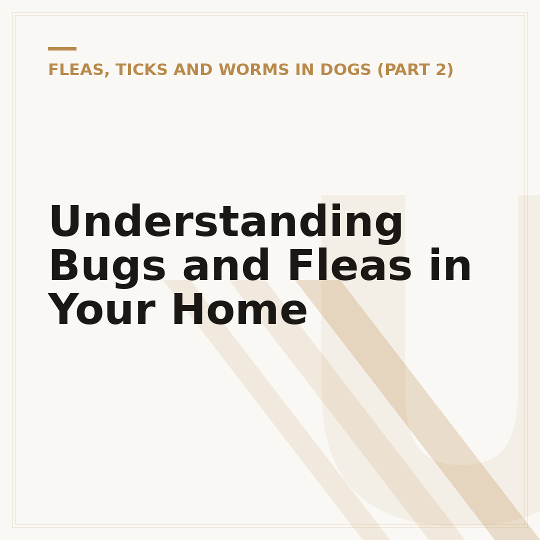 Understanding Bugs and Fleas in Your Home