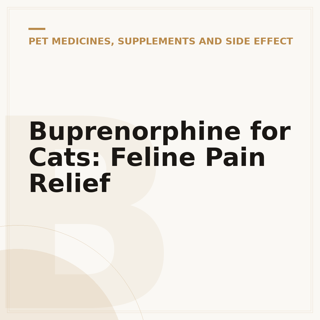 Buprenorphine for Cats: Feline Pain Relief