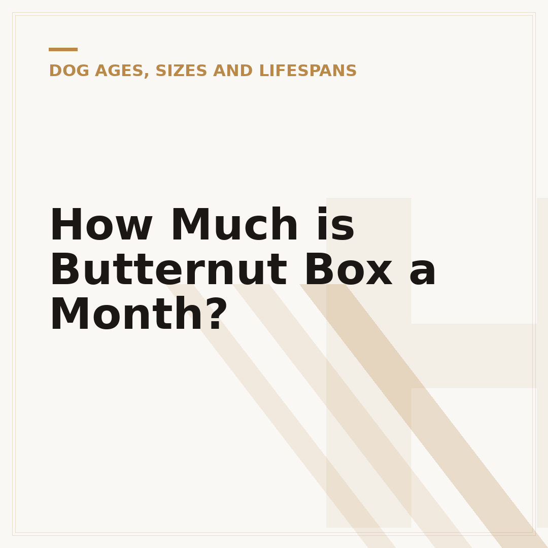 How Much is Butternut Box a Month?