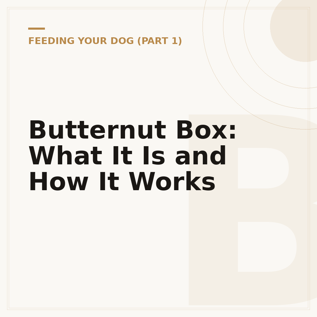 Butternut Box: What It Is and How It Works