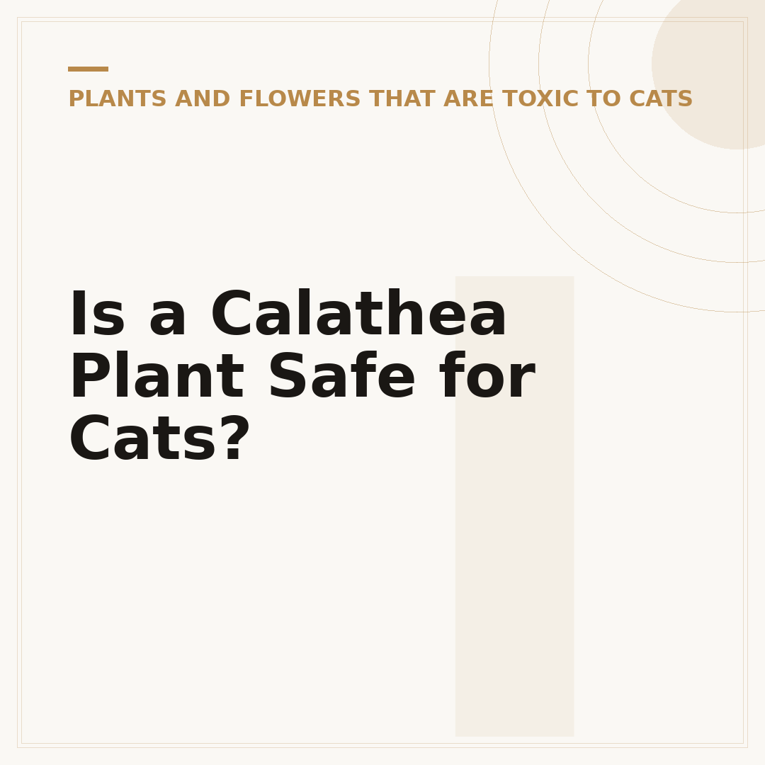 Is a Calathea Plant Safe for Cats?