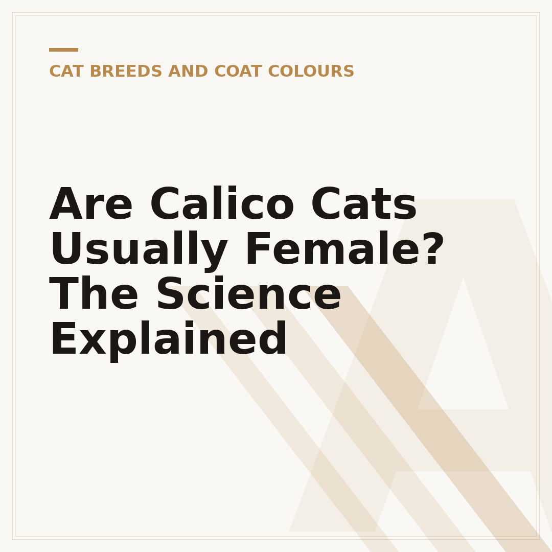 Are Calico Cats Usually Female? The Science Explained