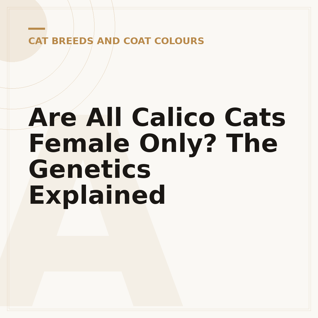Are All Calico Cats Female Only? The Genetics Explained