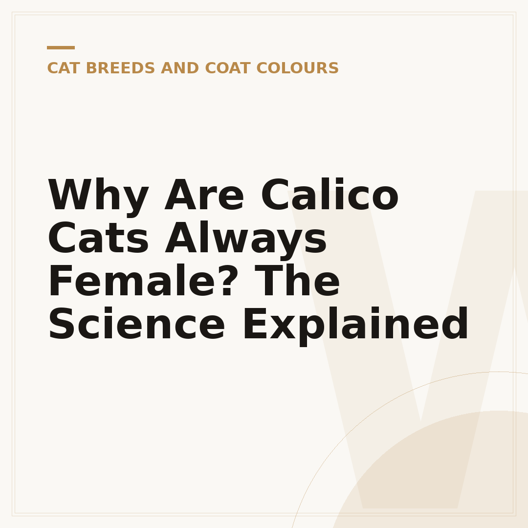 Why Are Calico Cats Always Female? The Science Explained
