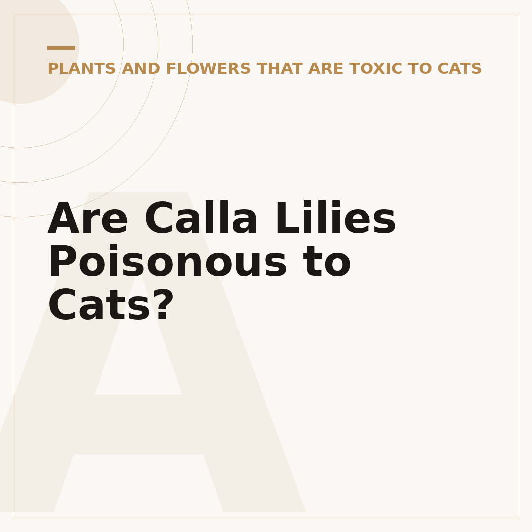Are Calla Lilies Poisonous to Cats?