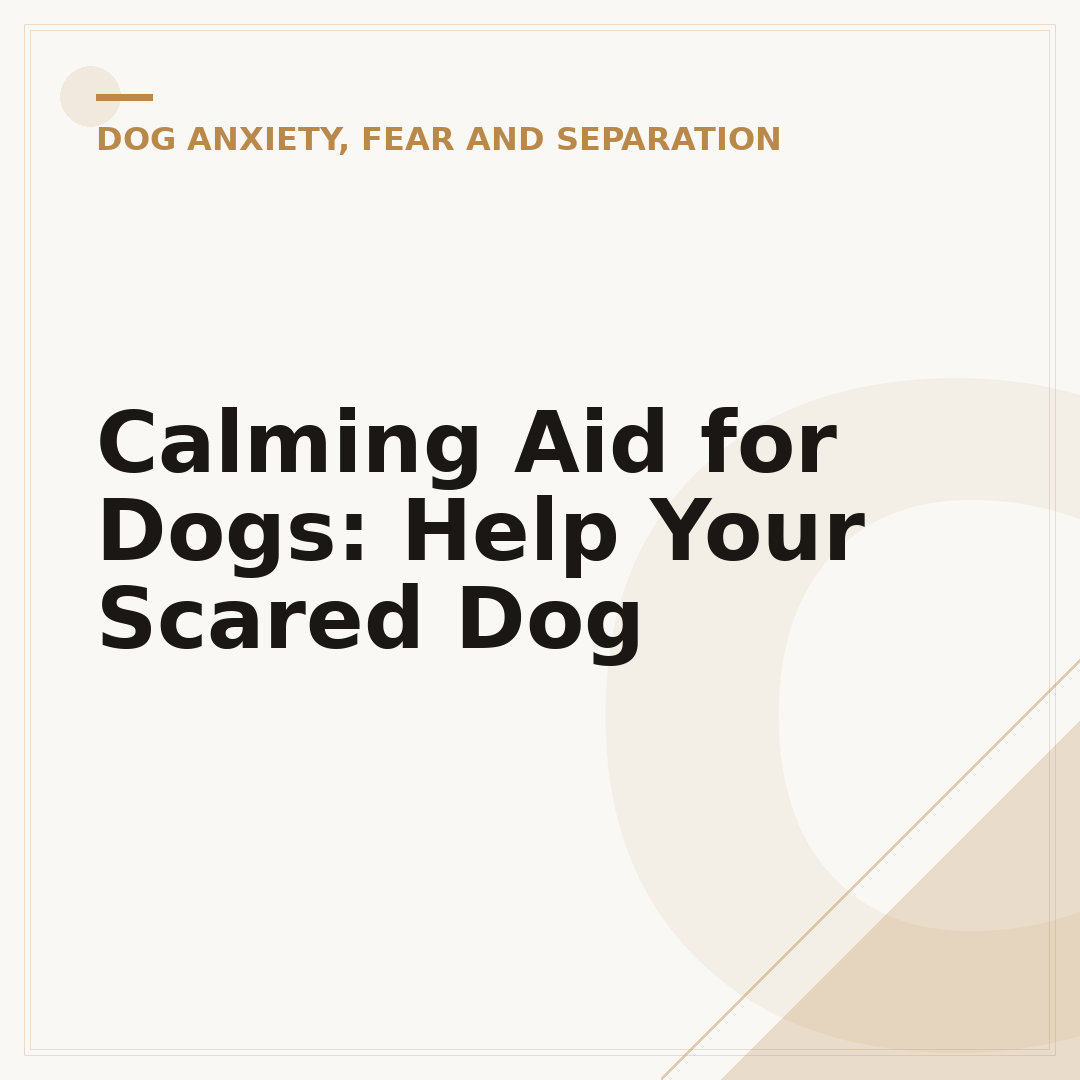 Calming Aid for Dogs: Help Your Scared Dog