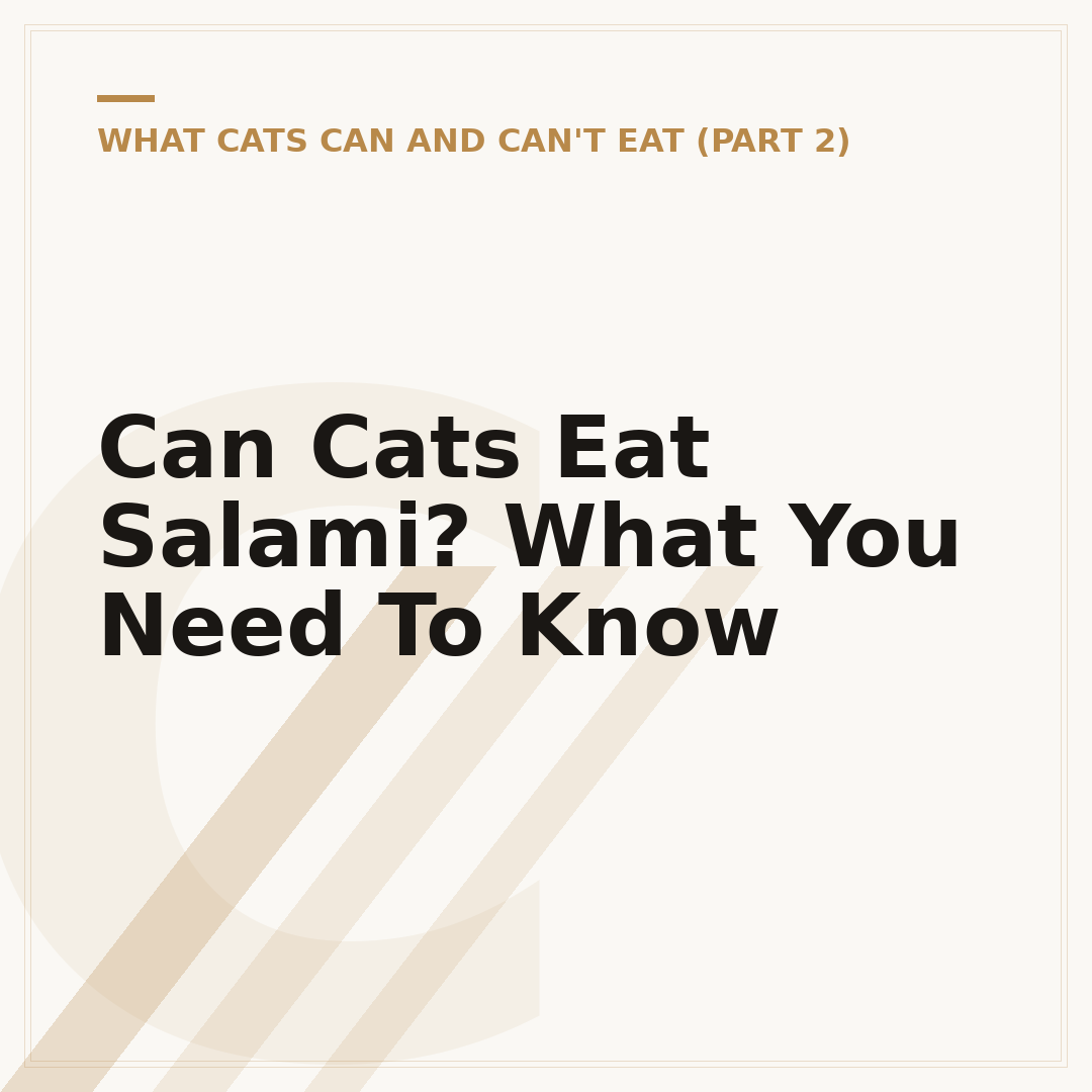 Can Cats Eat Salami? What You Need To Know