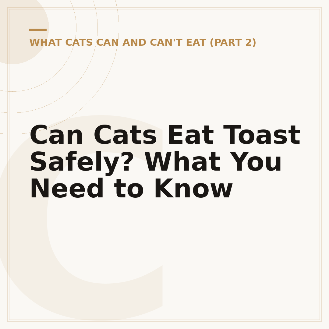 Can Cats Eat Toast Safely? What You Need to Know