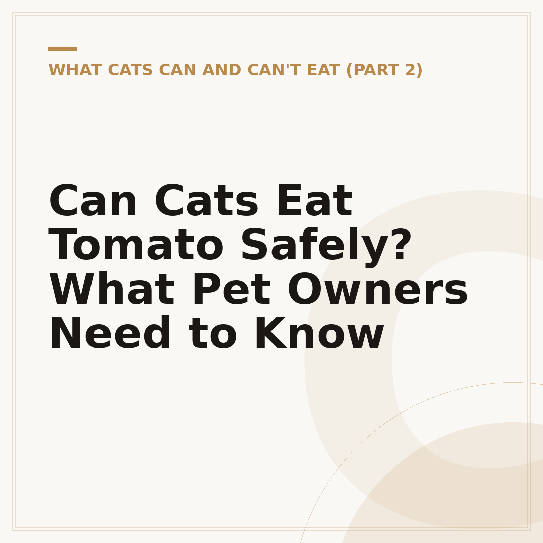 Can Cats Eat Tomato Safely? What Pet Owners Need to Know
