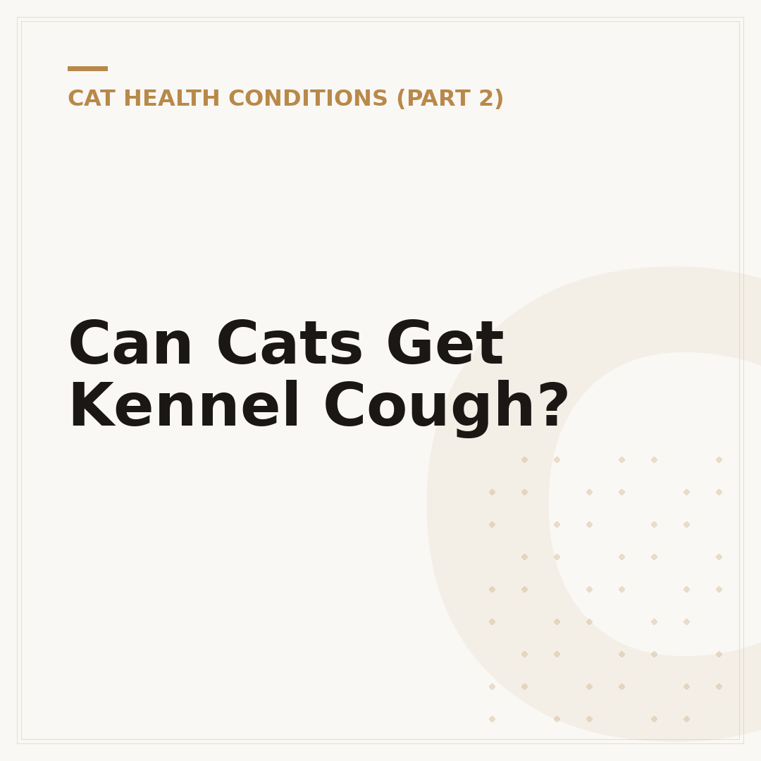 Can Cats Get Kennel Cough?