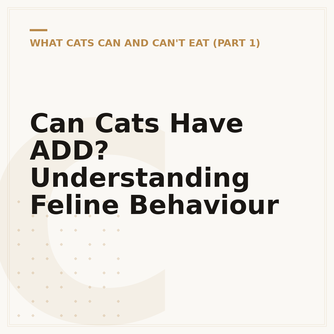 Can Cats Have ADD? Understanding Feline Behaviour