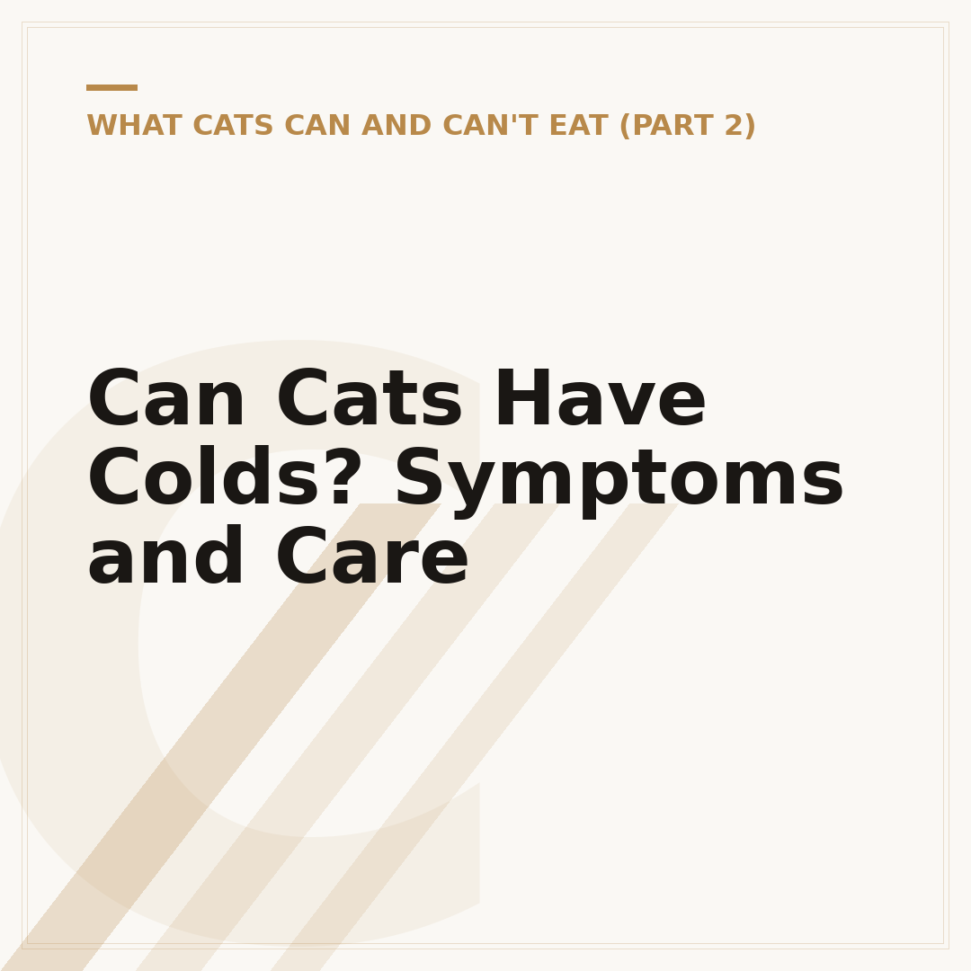 Can Cats Have Colds? Symptoms and Care