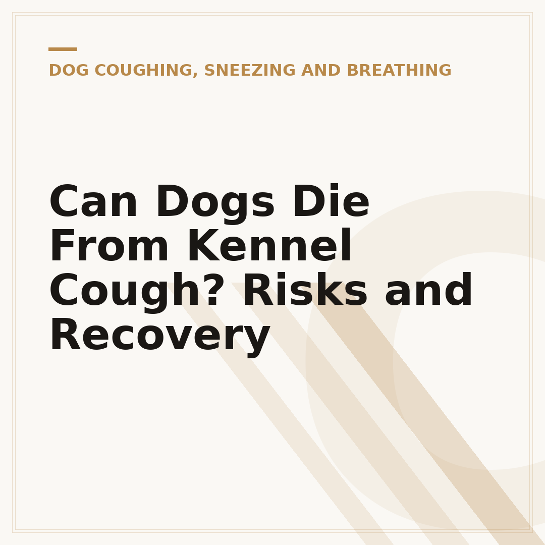 Can Dogs Die From Kennel Cough? Risks and Recovery