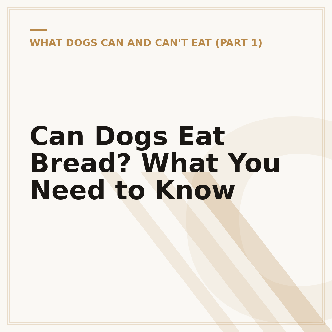 Can Dogs Eat Bread? What You Need to Know