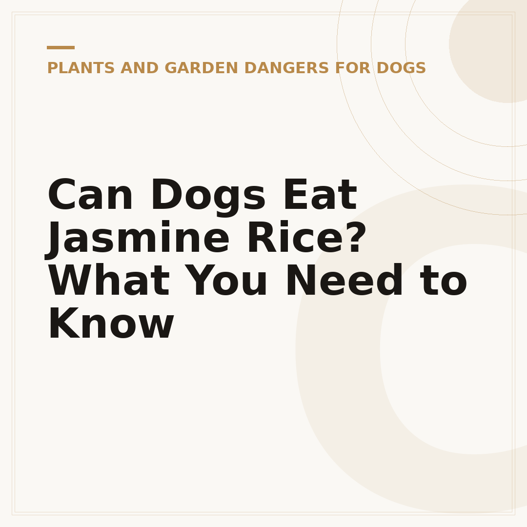 Can Dogs Eat Jasmine Rice? What You Need to Know