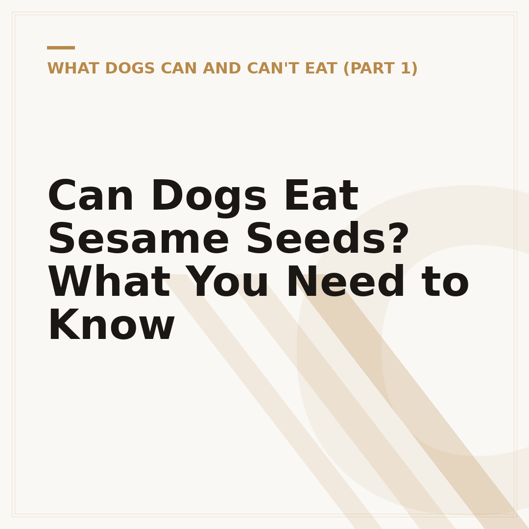Can Dogs Eat Sesame Seeds? What You Need to Know