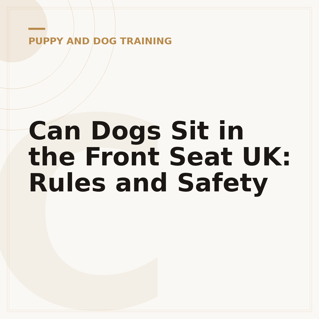 Can Dogs Sit in the Front Seat UK: Rules and Safety