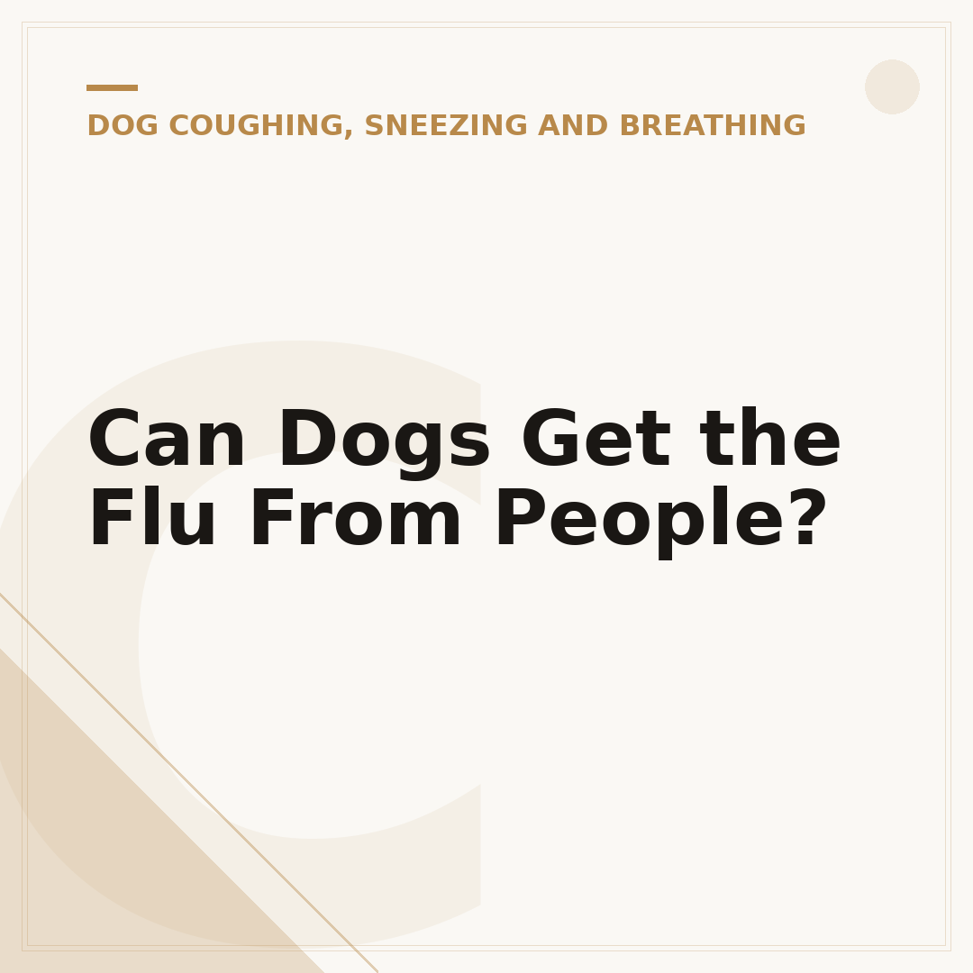 Can Dogs Get the Flu From People?
