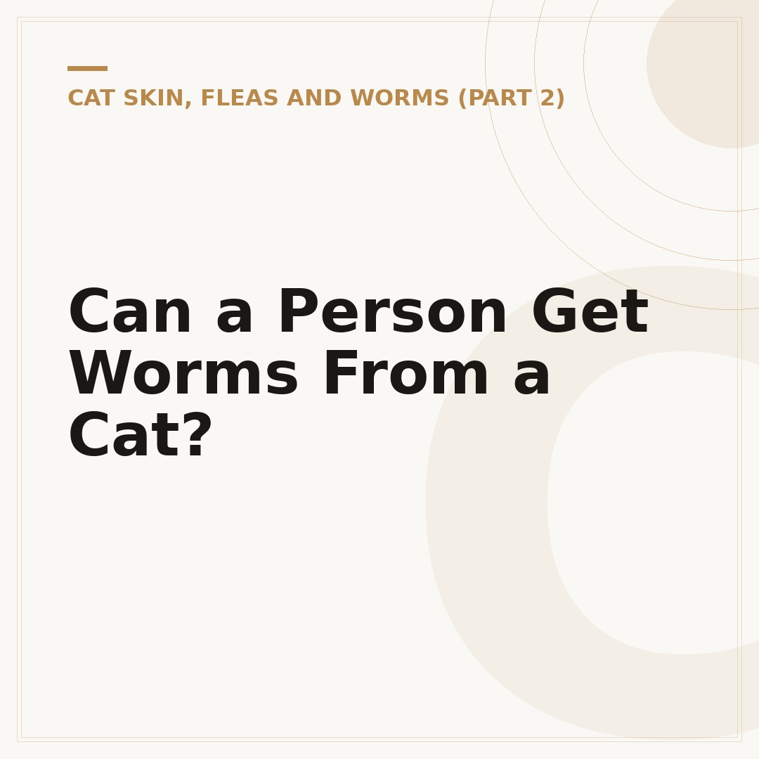 Can a Person Get Worms From a Cat?