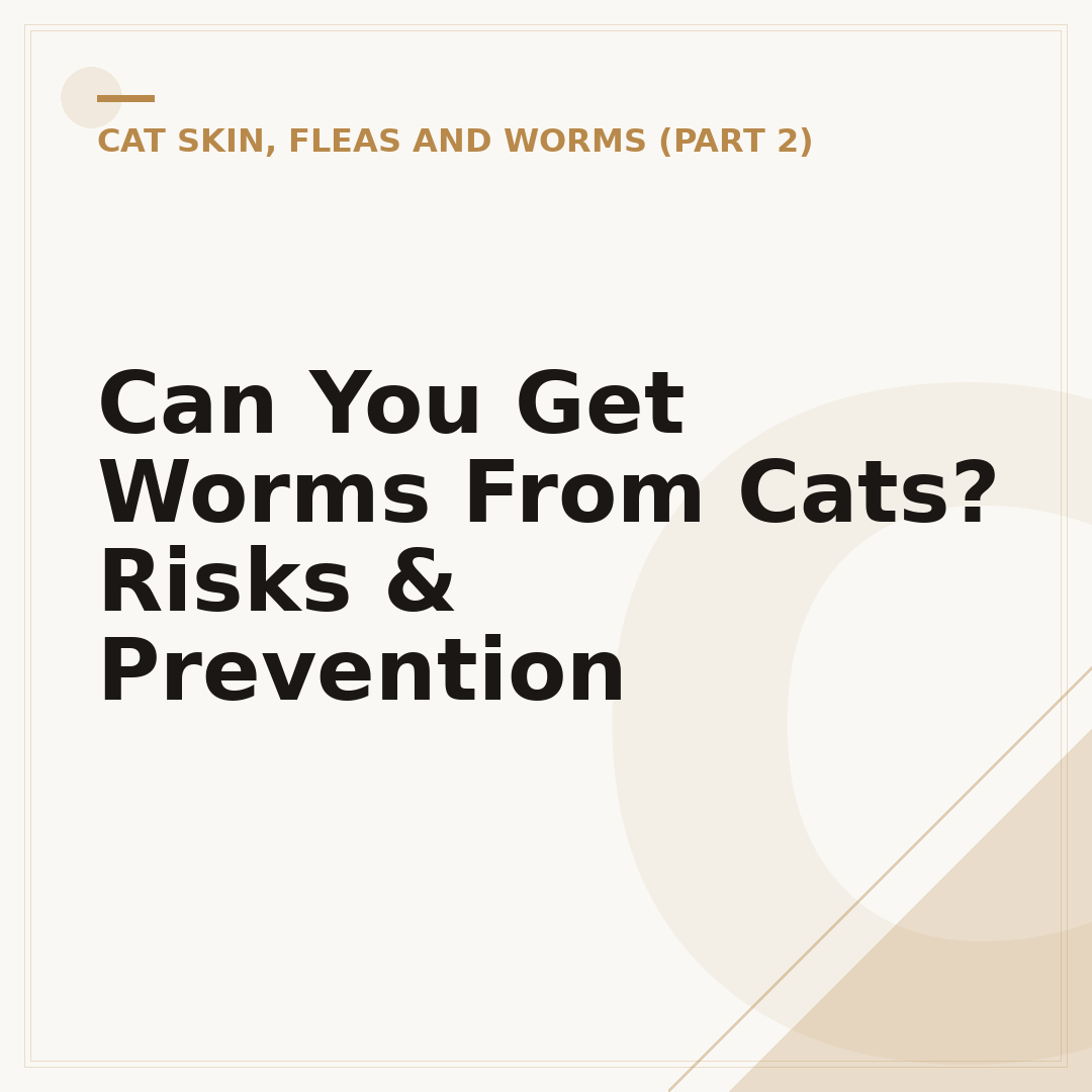 Can You Get Worms From Cats? Risks & Prevention