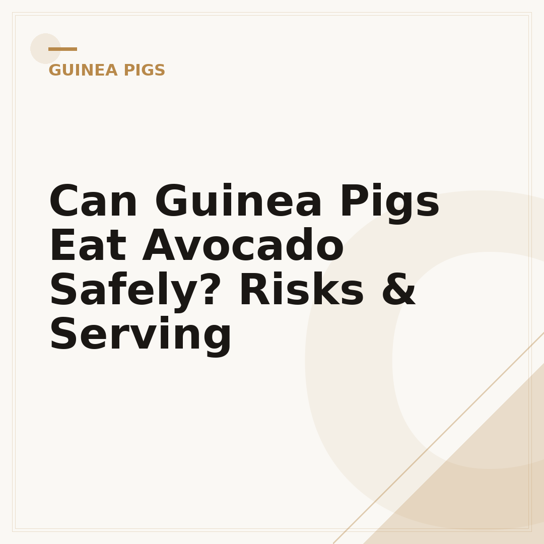 Can Guinea Pigs Eat Avocado Safely? Risks & Serving