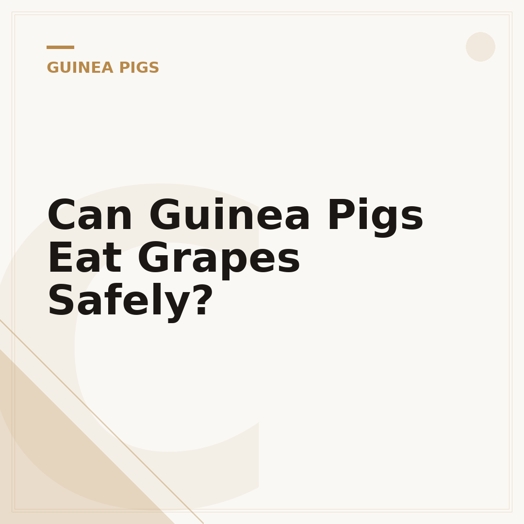 Can Guinea Pigs Eat Grapes Safely?