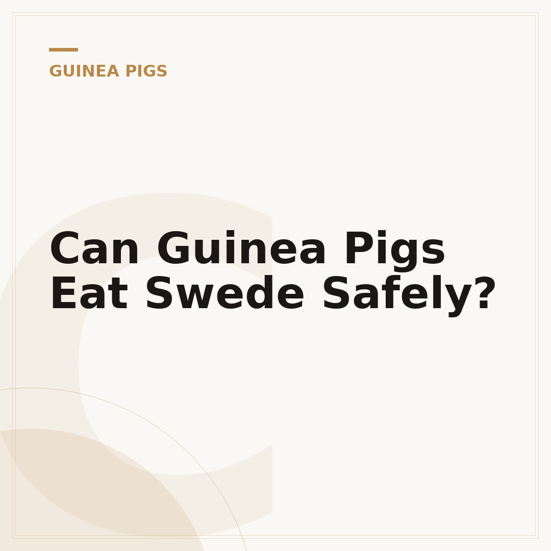 Can Guinea Pigs Eat Swede Safely?