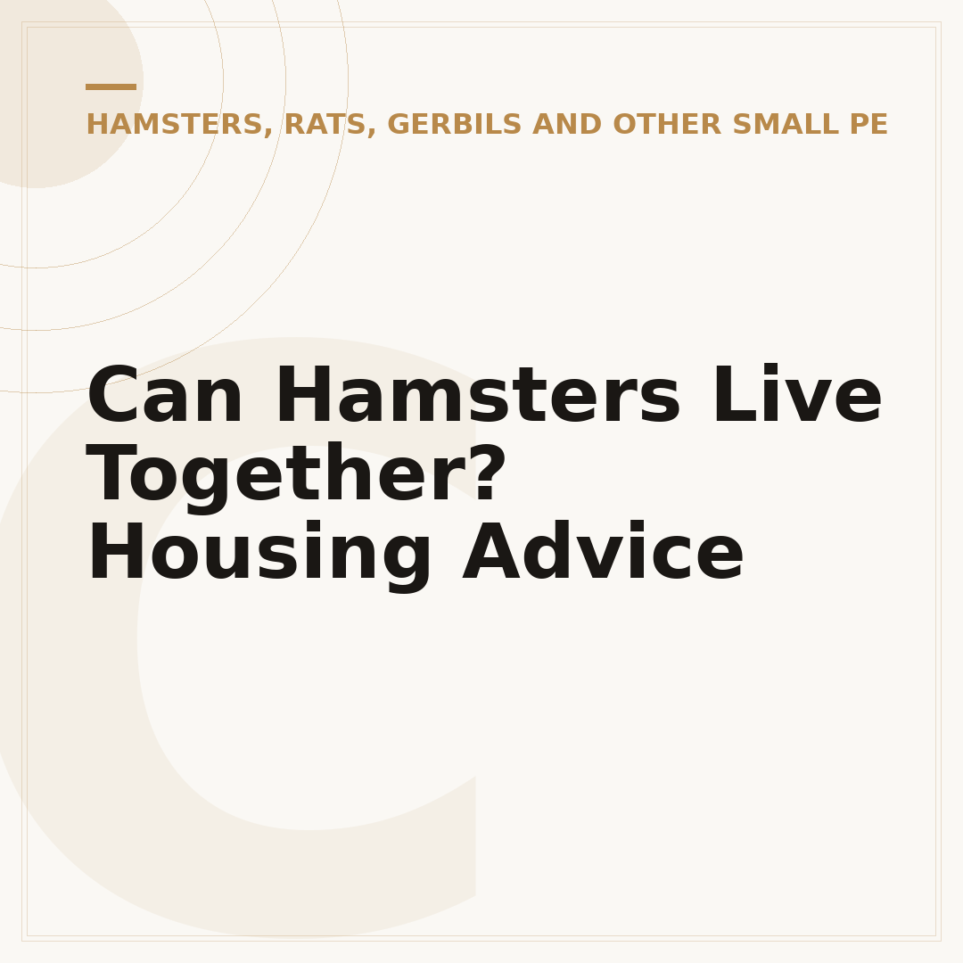 Can Hamsters Live Together? Housing Advice