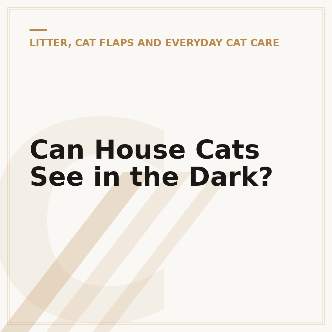 Can House Cats See in the Dark?