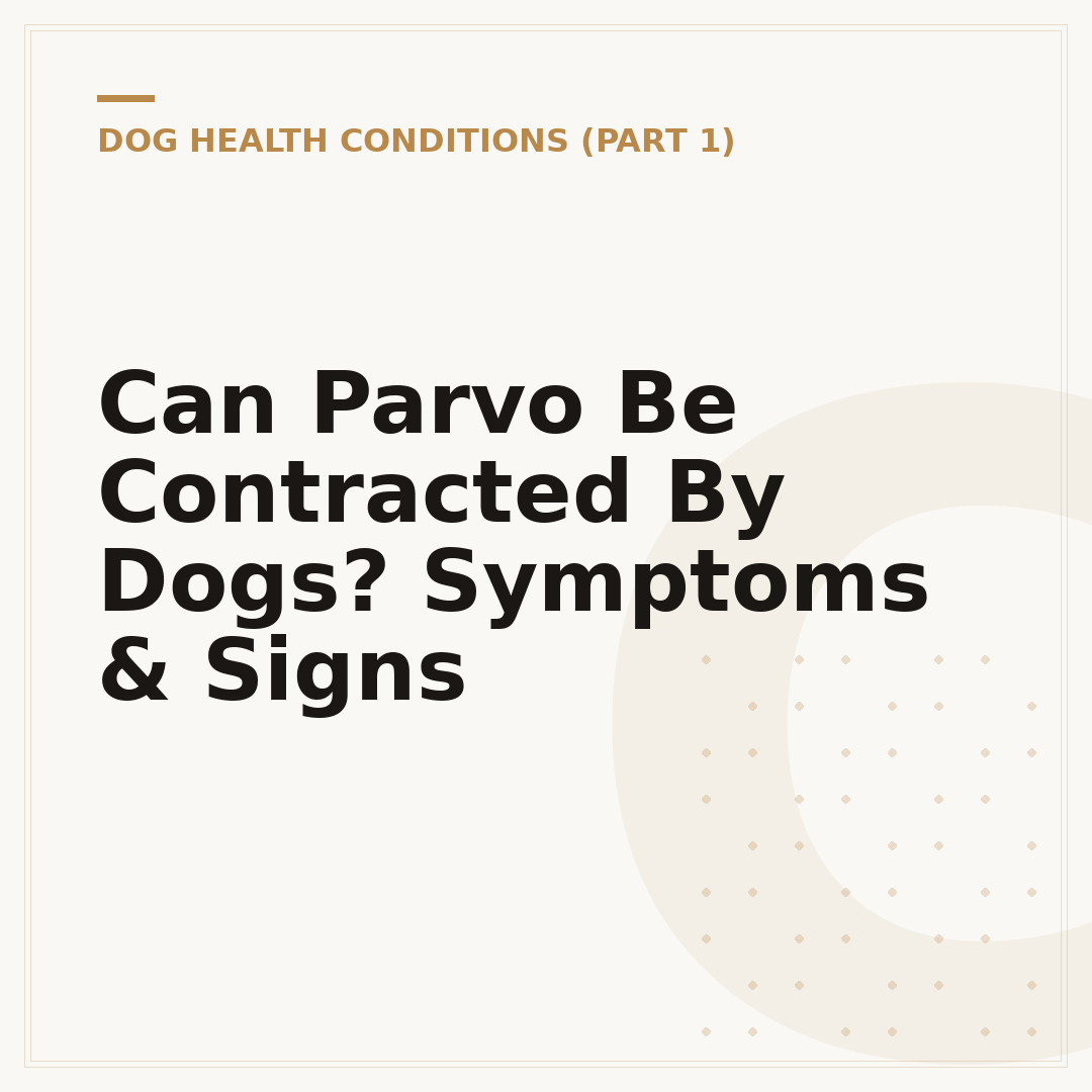 Can Parvo Be Contracted By Dogs? Symptoms & Signs