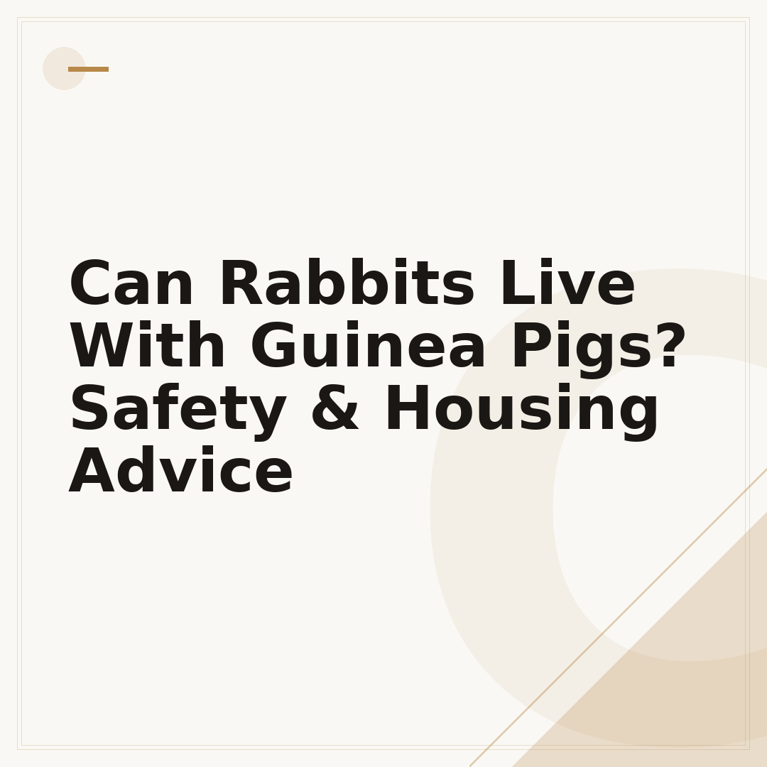 Can Rabbits Live With Guinea Pigs? Safety & Housing Advice