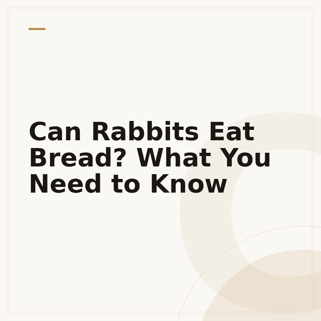 Can Rabbits Eat Bread? What You Need to Know