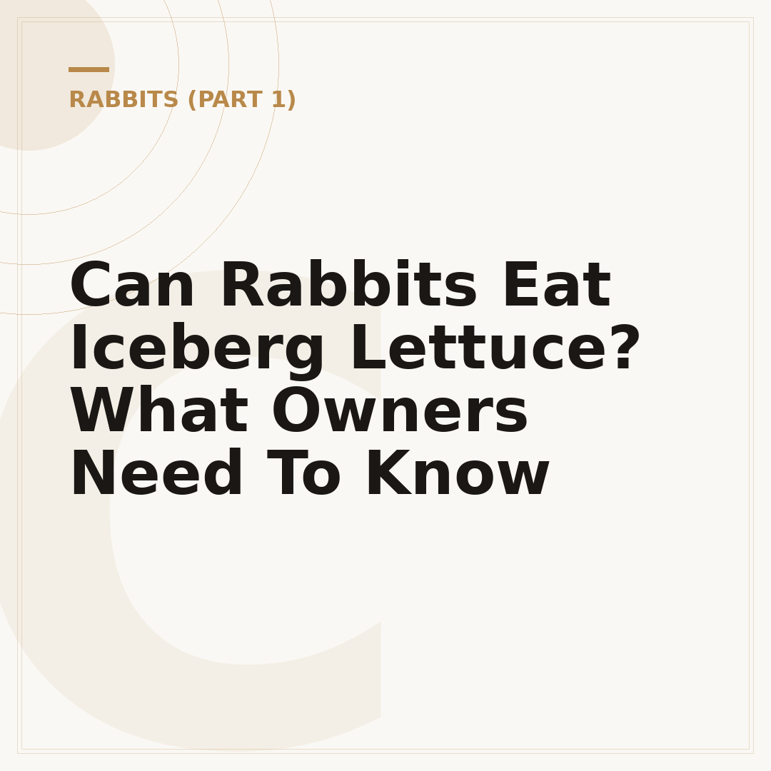 Can Rabbits Eat Iceberg Lettuce? What Owners Need To Know
