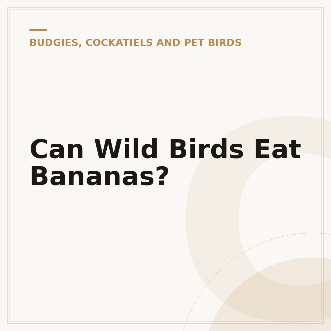 Can Wild Birds Eat Bananas?
