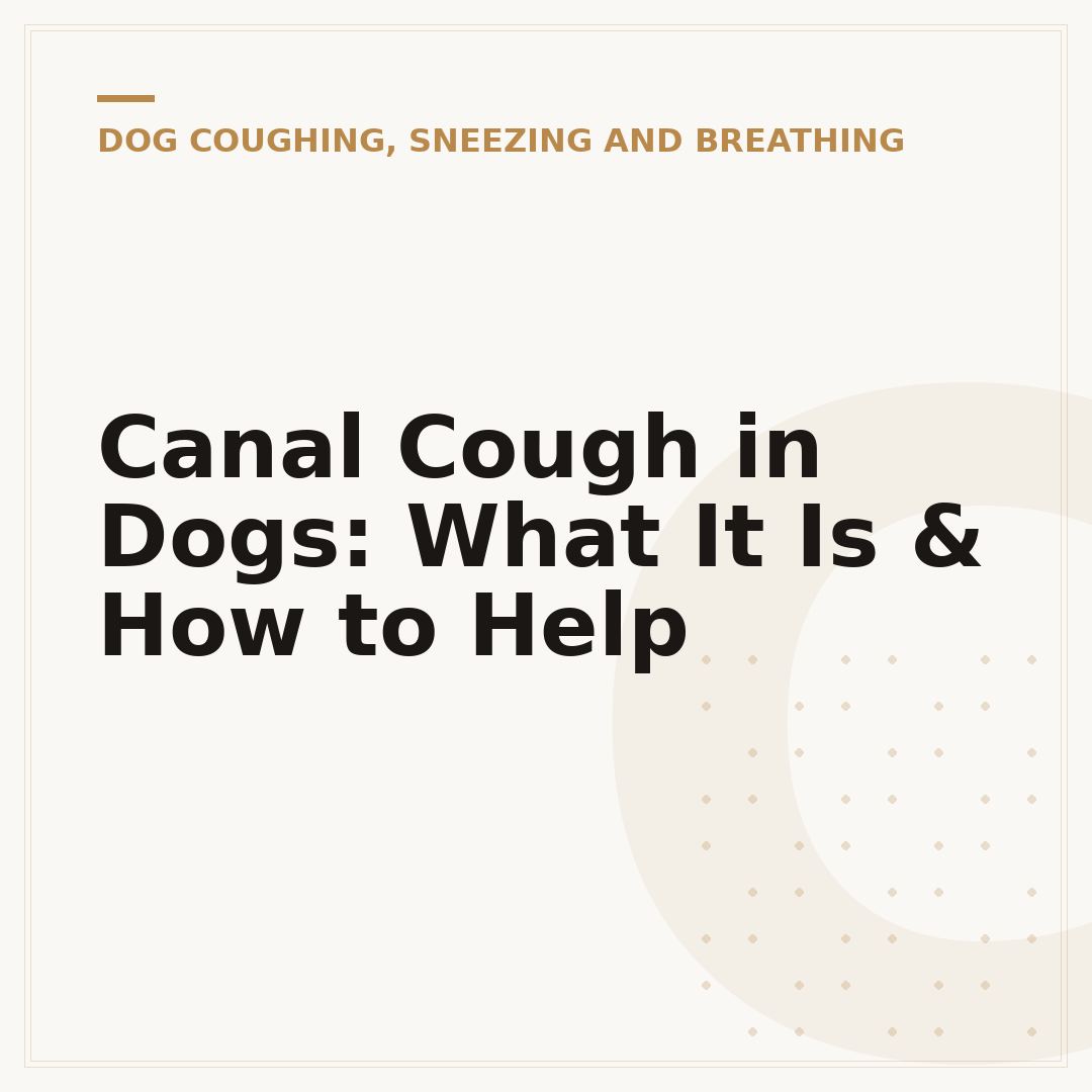 Canal Cough in Dogs: What It Is & How to Help