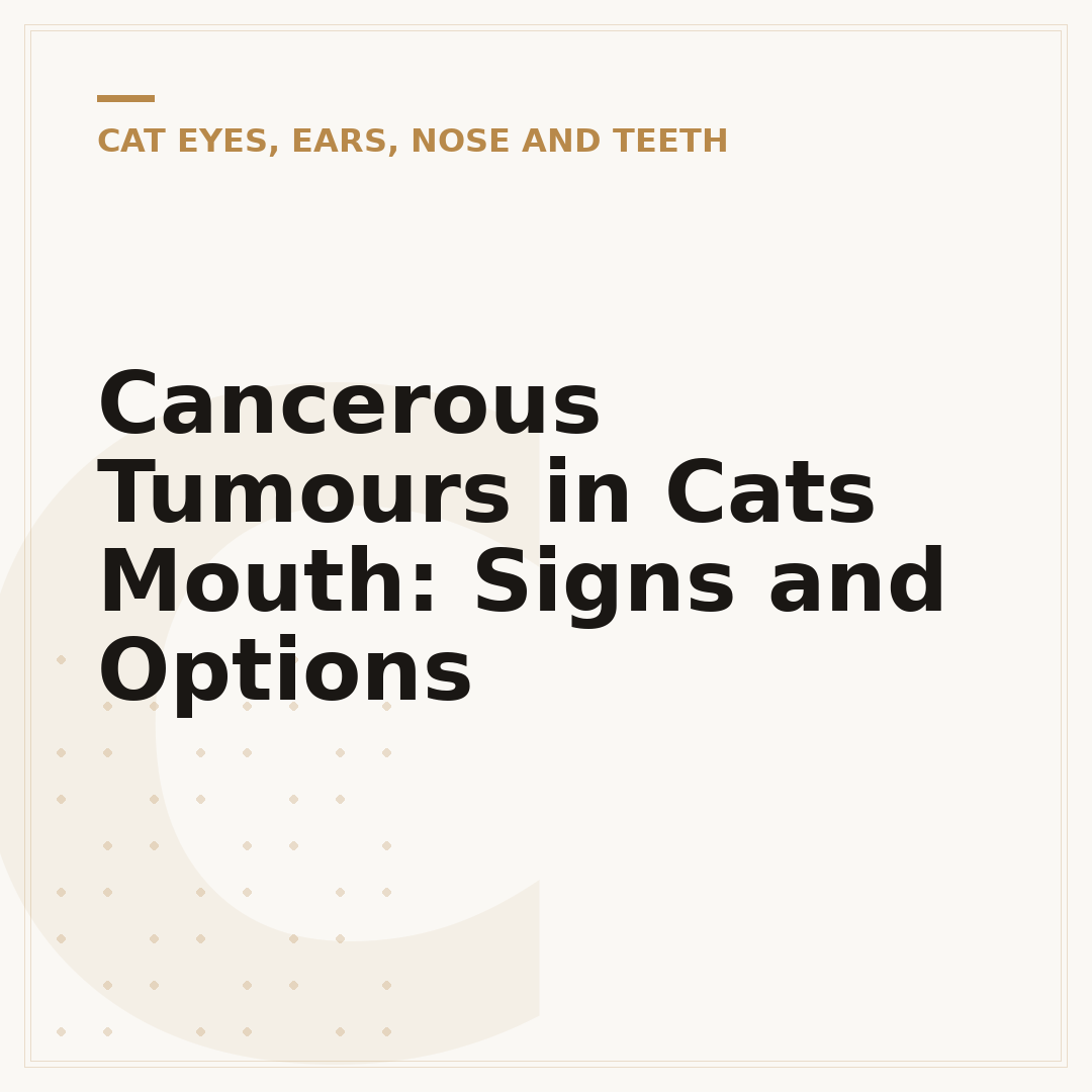 Cancerous Tumours in Cats Mouth: Signs and Options