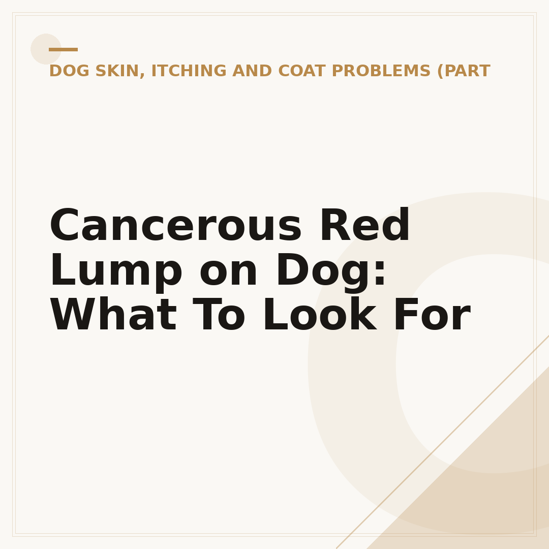 Cancerous Red Lump on Dog: What To Look For