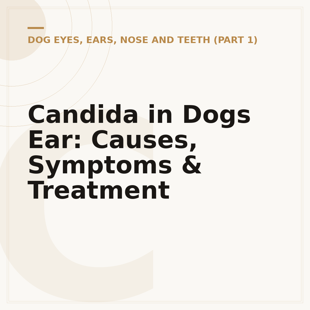 Candida in Dogs Ear: Causes, Symptoms & Treatment