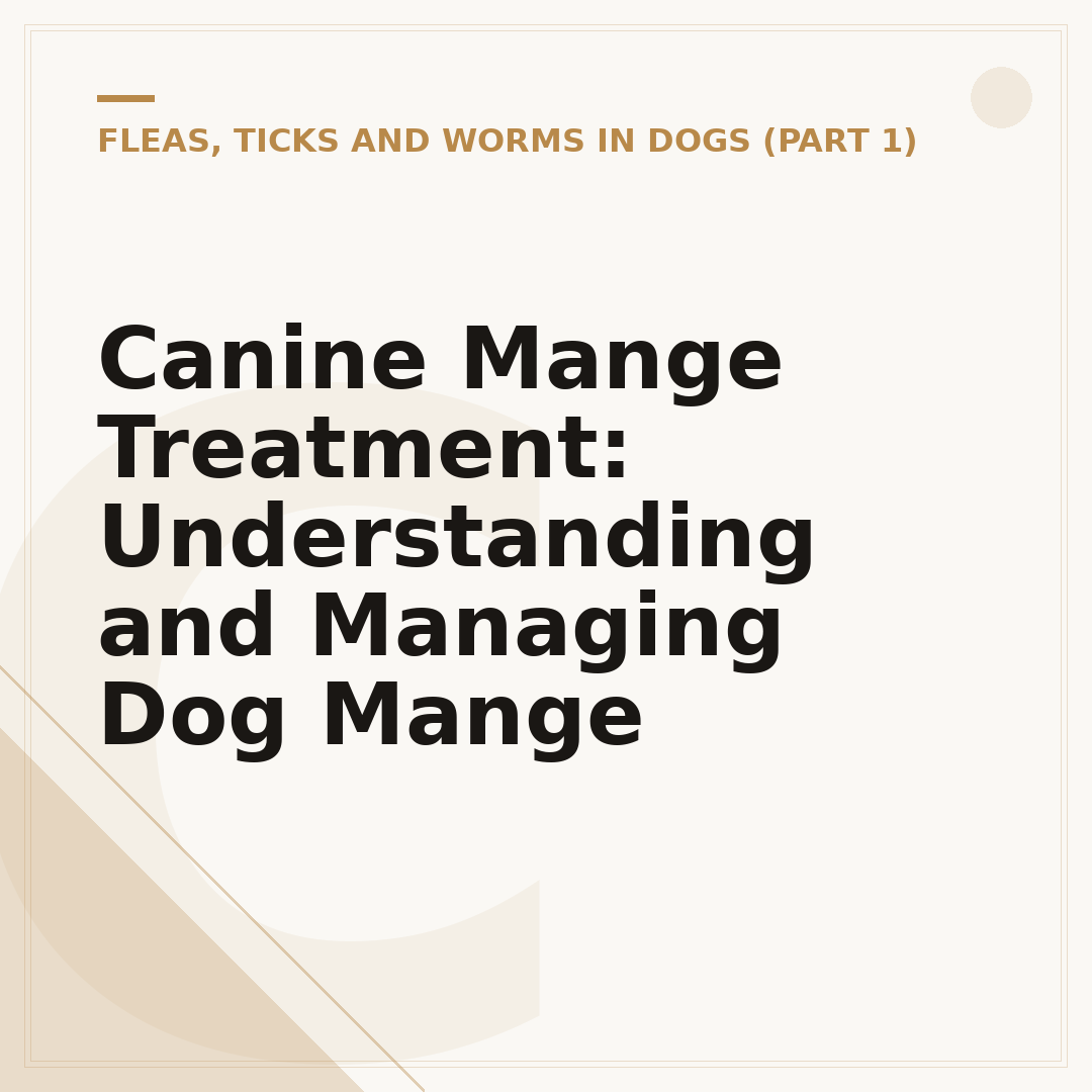 Canine Mange Treatment: Understanding and Managing Dog Mange