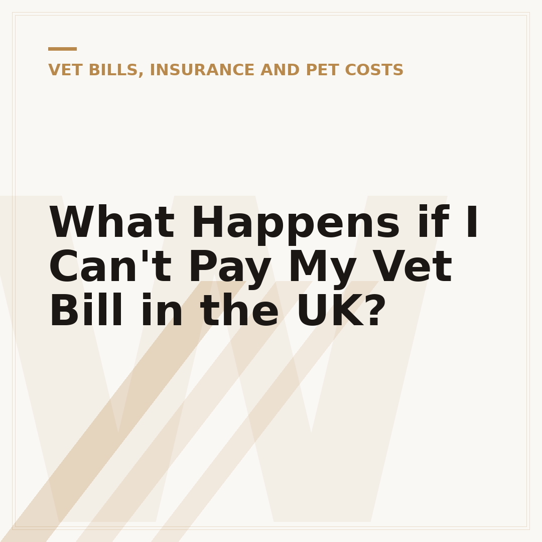 What Happens if I Can't Pay My Vet Bill in the UK?