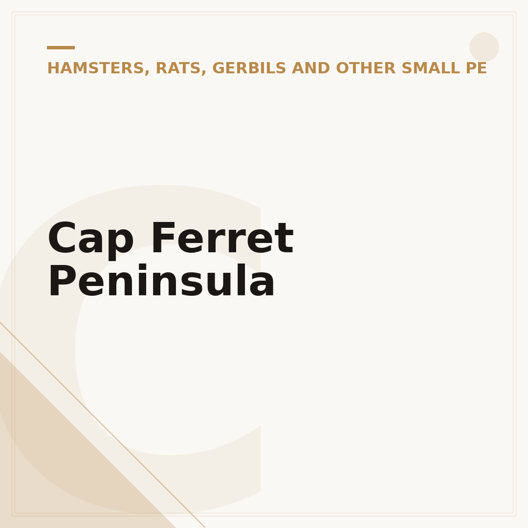 Cap Ferret Peninsula