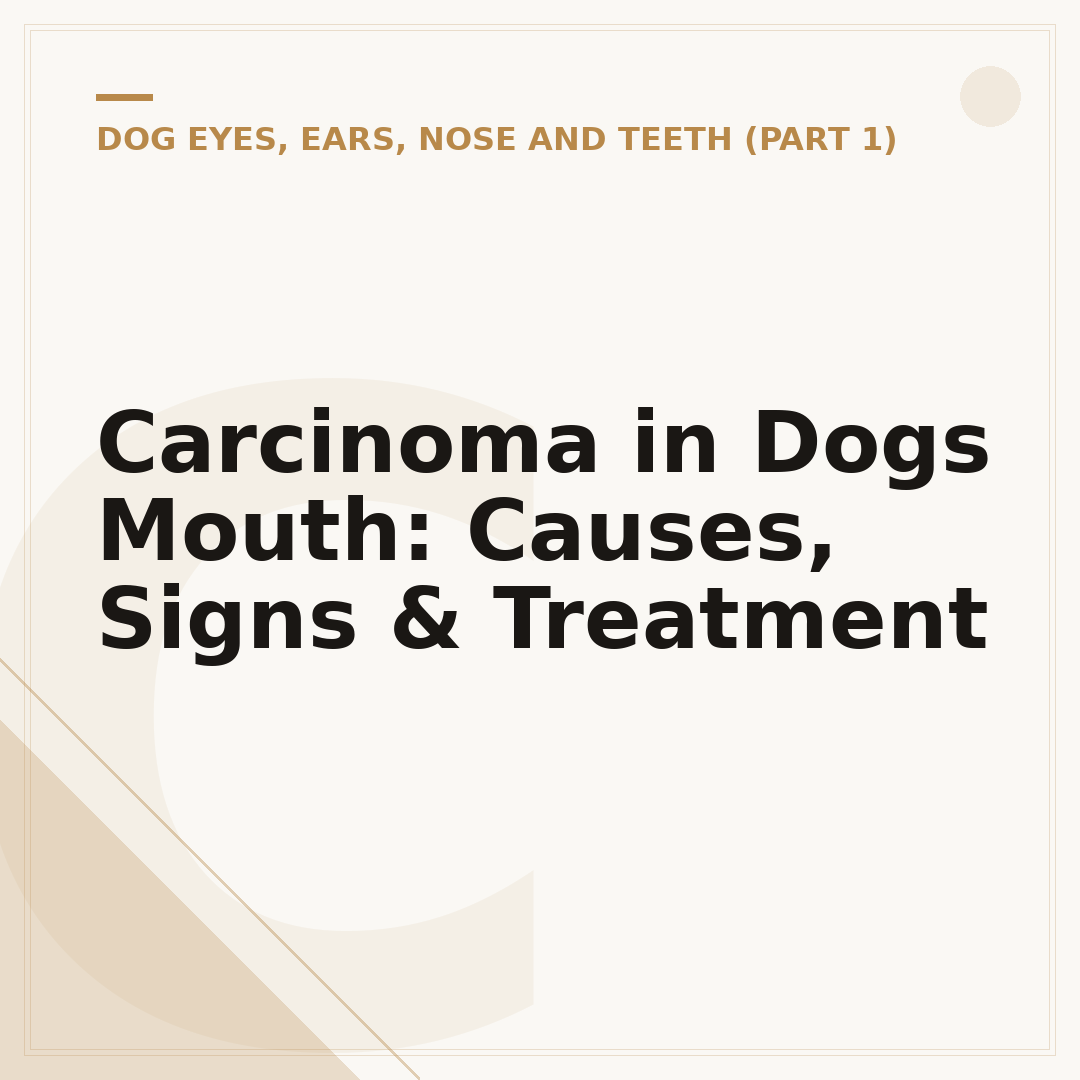 Carcinoma in Dogs Mouth: Causes, Signs & Treatment