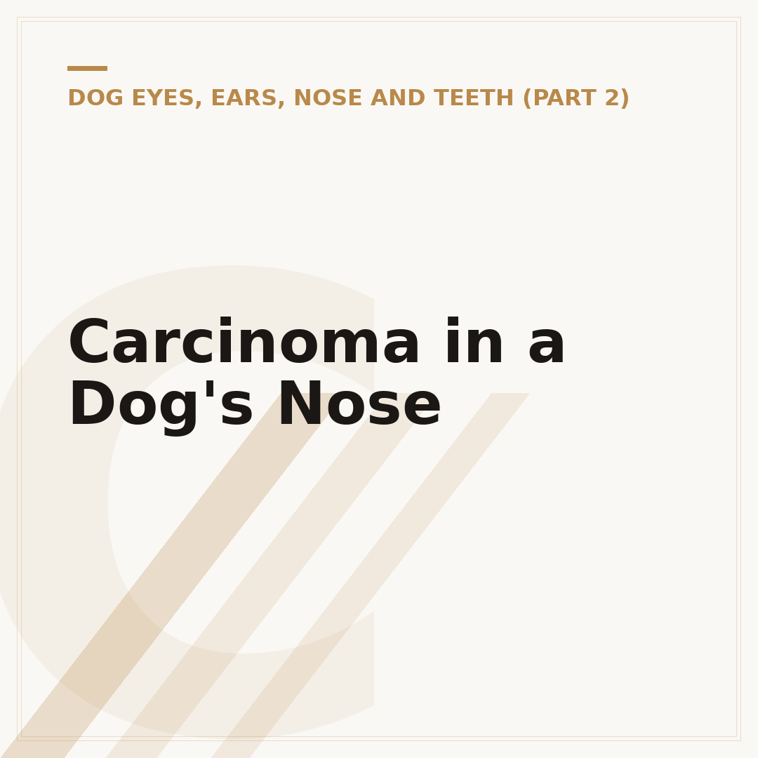 Carcinoma in a Dog's Nose