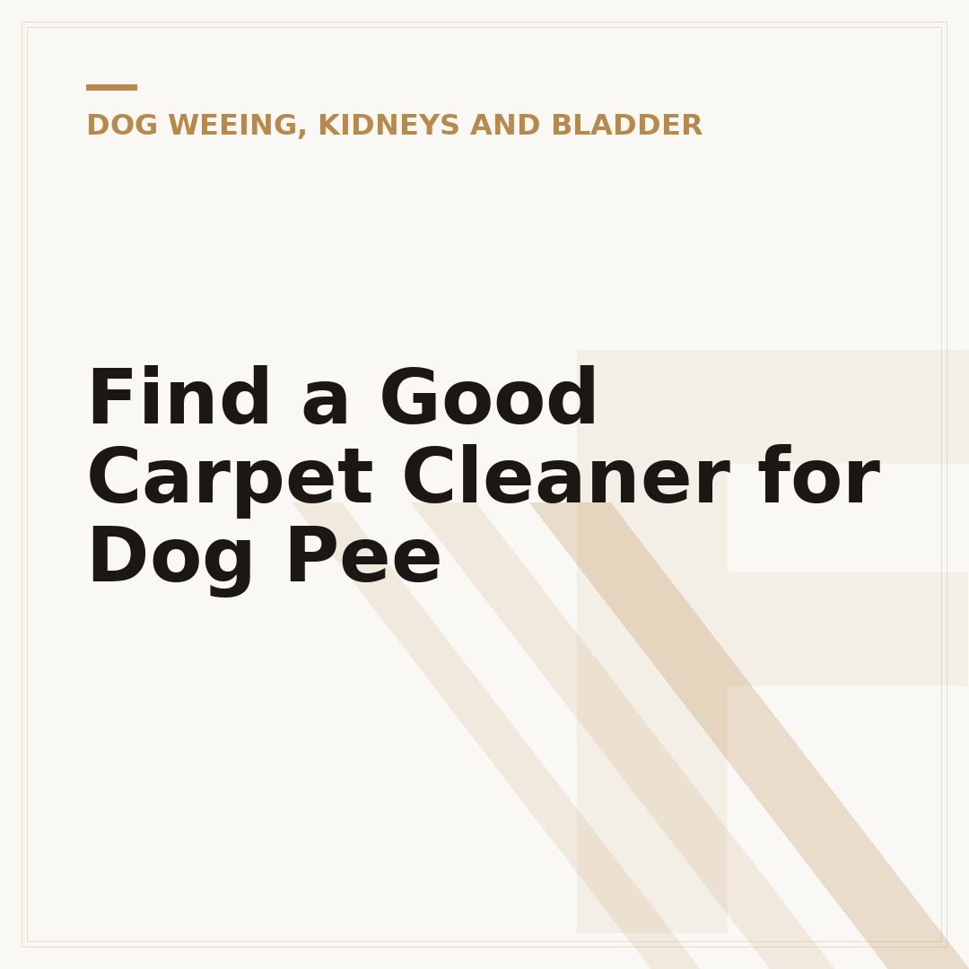 Find a Good Carpet Cleaner for Dog Pee