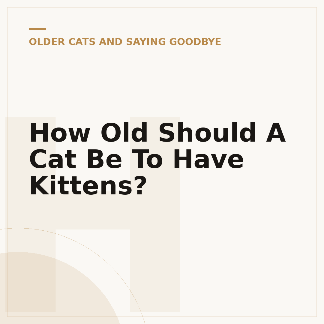 How Old Should A Cat Be To Have Kittens?
