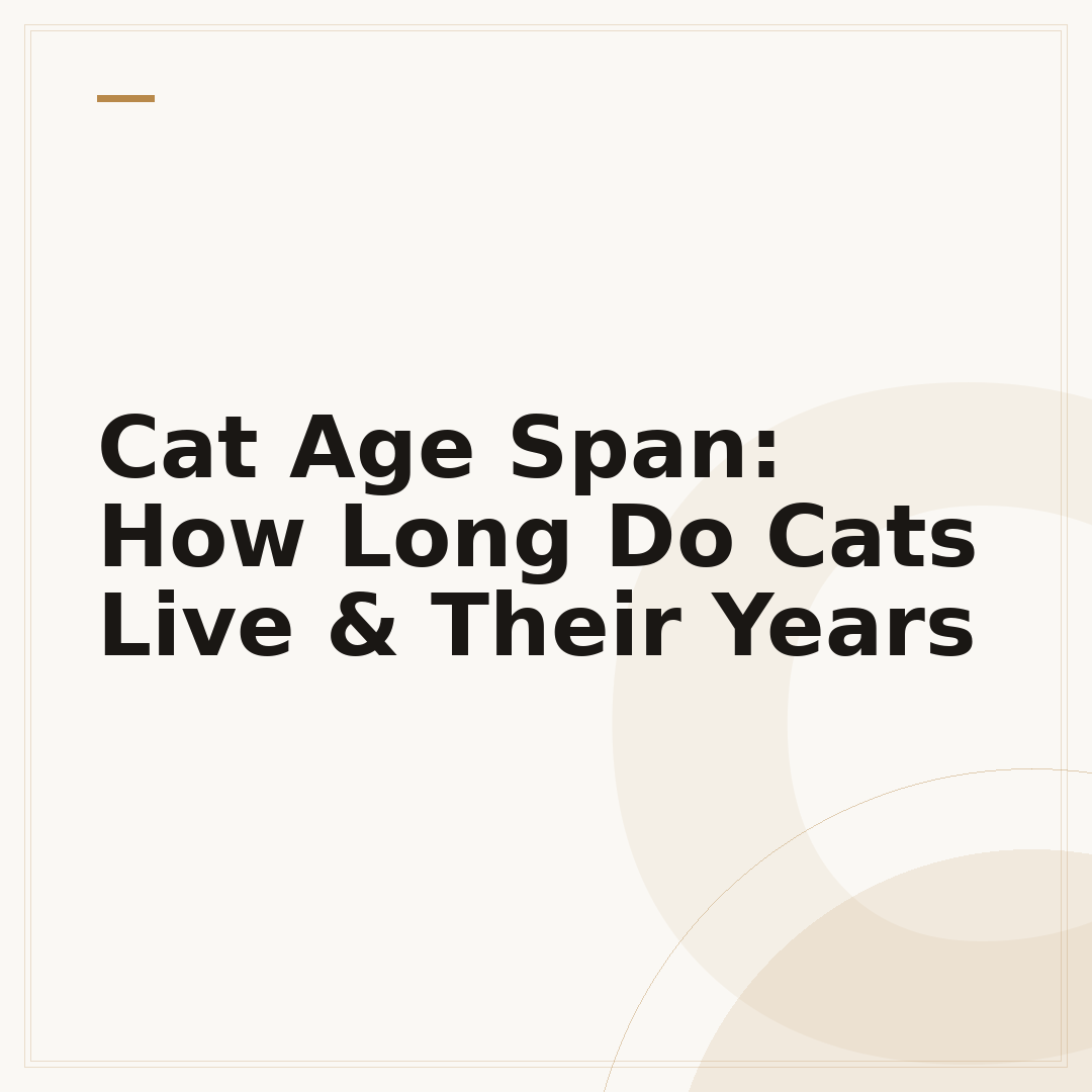 Cat Age Span: How Long Do Cats Live & Their Years