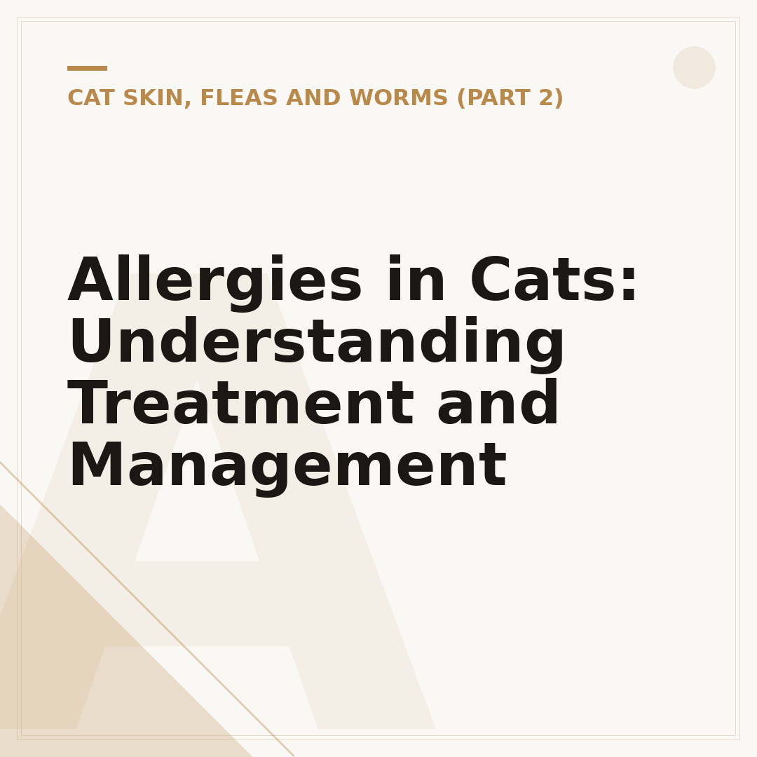 Allergies in Cats: Understanding Treatment and Management