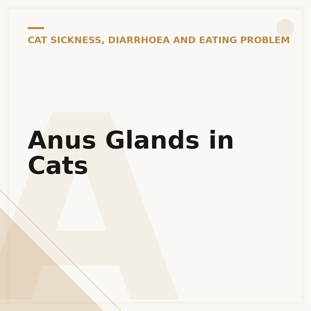 Anus Glands in Cats